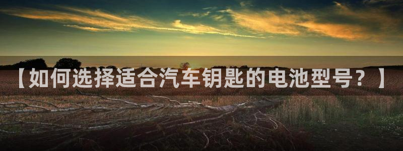 优发国际官网网站首页