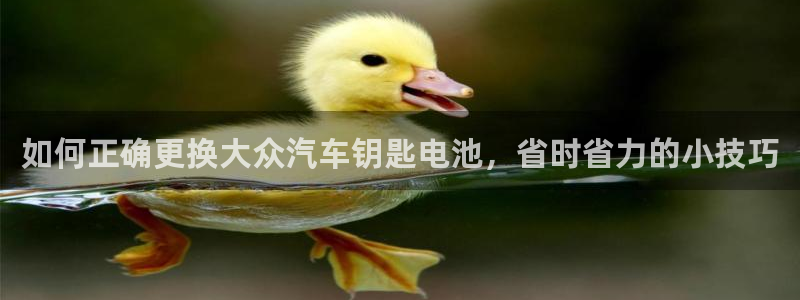 优发国际平台手机版下载安装