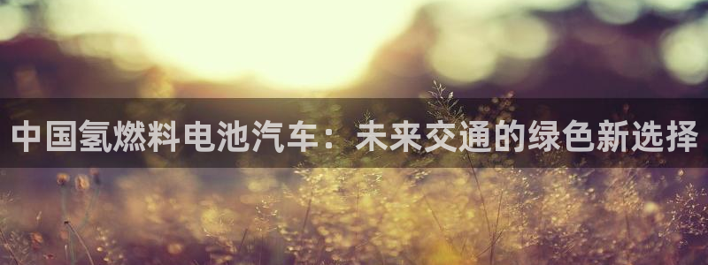 优发国际平台18