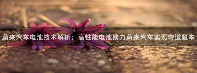 优发国际首页官网
