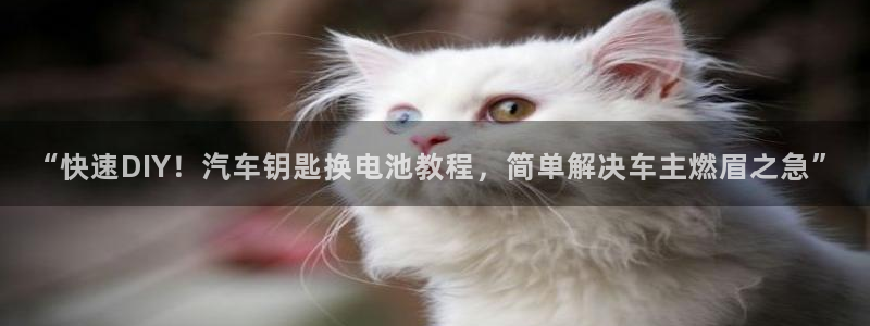 优发国际的官网是什么软件