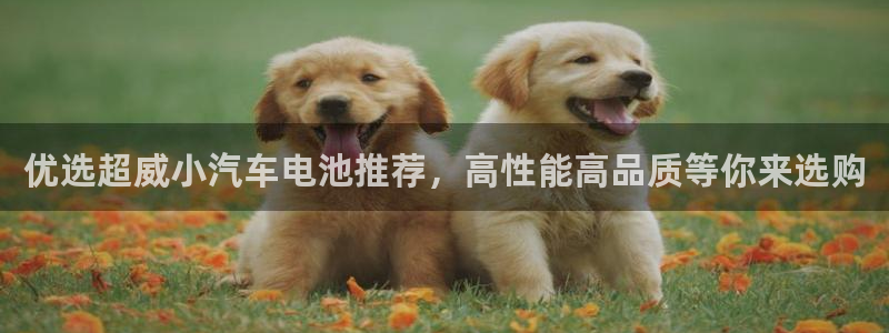 优发国际官网下载