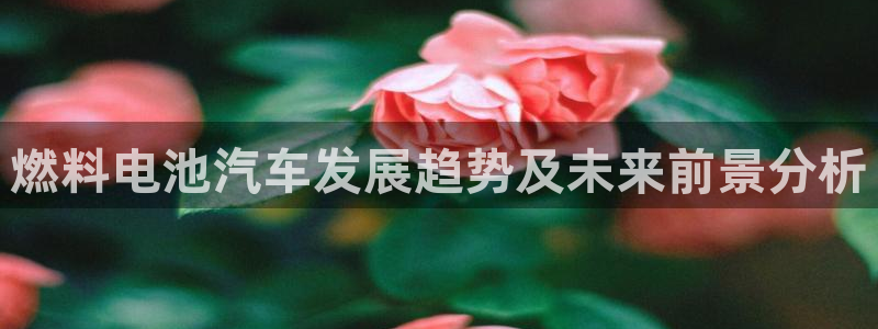 优发国际手机版下载