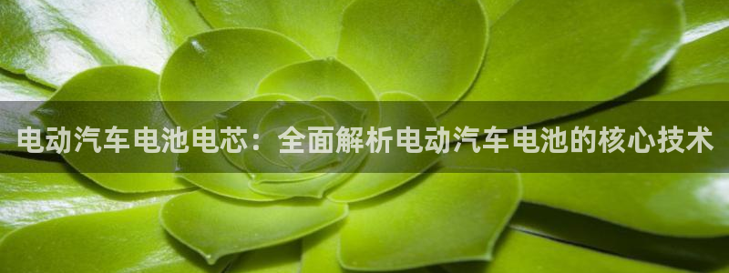 优发国际手机版下载