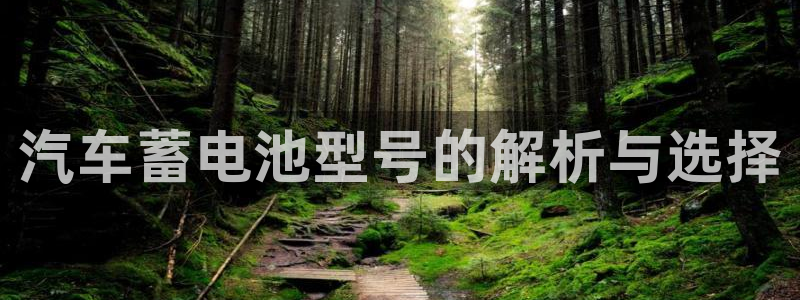 优发国际平台app下载苹果版