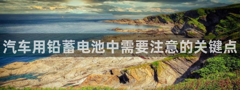 优发国际手机客户端怎么下载