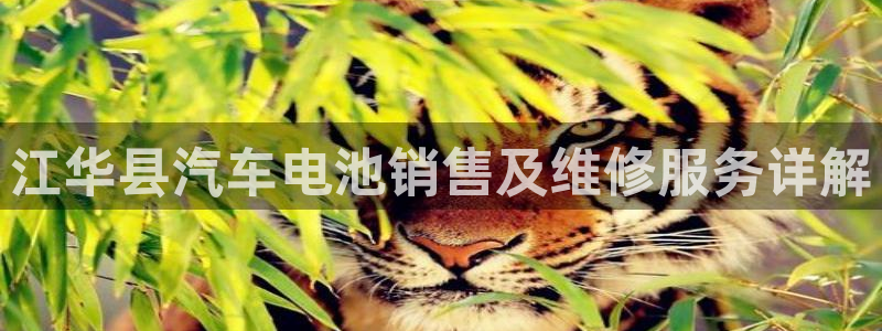 优发国际平台app下载苹果版
