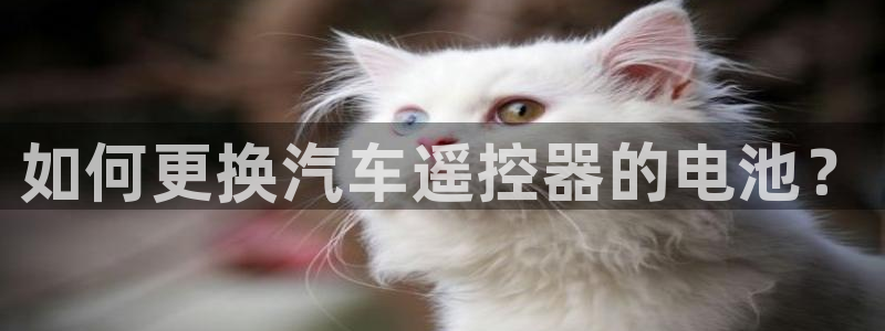 优发国际手机版唯一官网