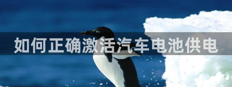 优发国际平台u8