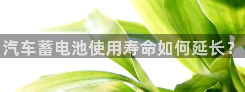 优发国际首页官网