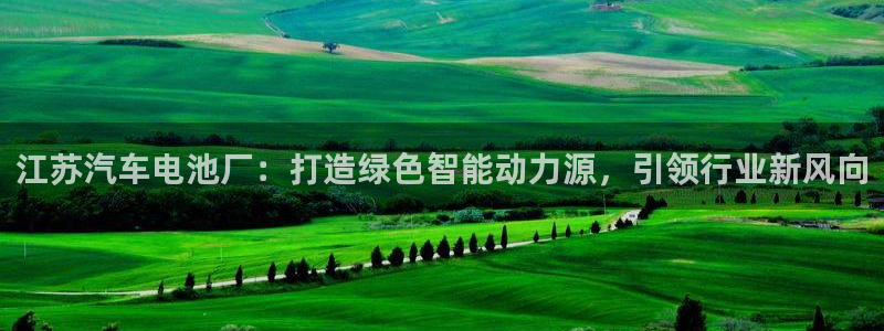 优发国际安卓版下载安装苹果：江苏汽车电池厂：打造绿色智能动力源，引领行业新风向