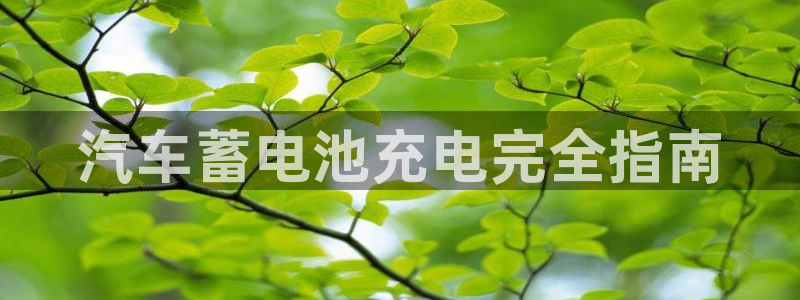 优发国际平台app下载安装
