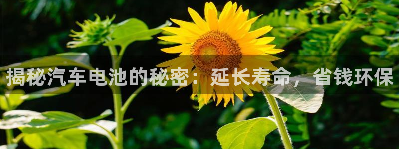 优发国际官网平台