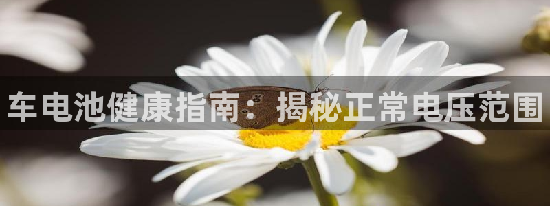 优发国际平台u8