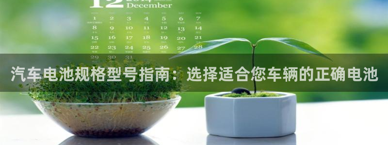 优发国际网站官网