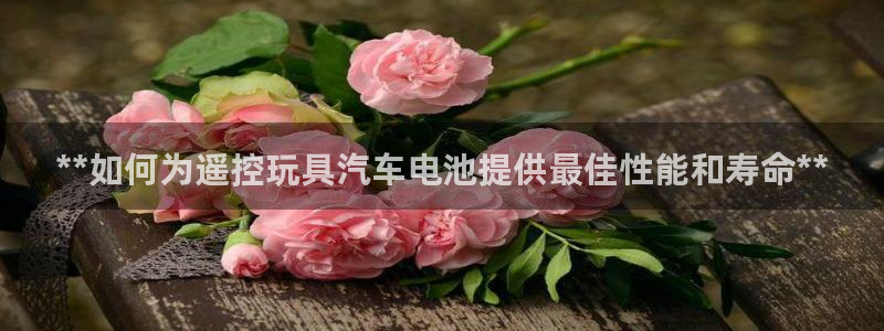 优发国际是大平台吗