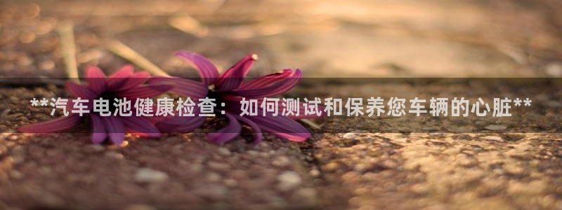 优发国际网站官网