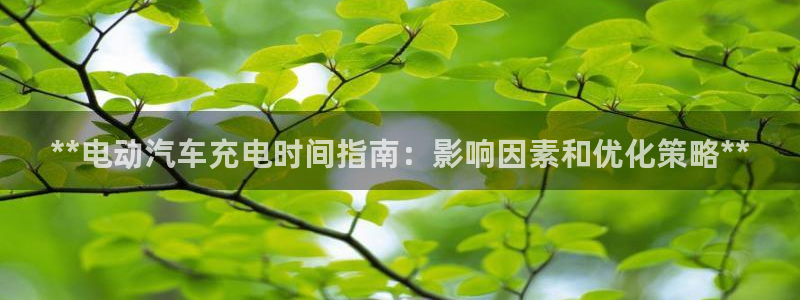 优发国际 干什么的