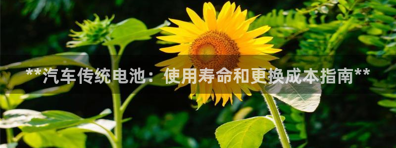 优发国际官网官方网址