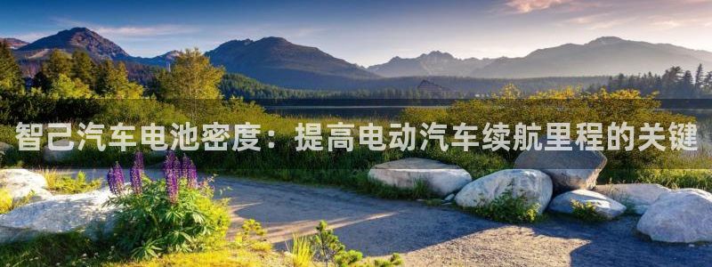优发国际是什么