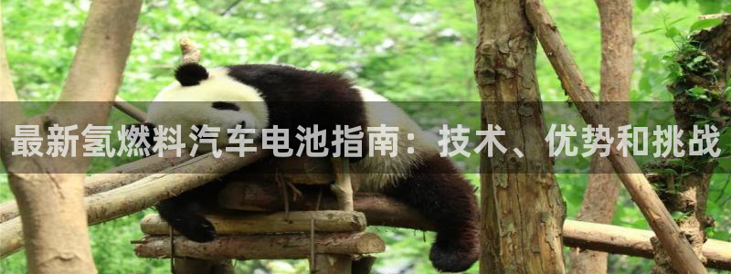 优发国际官网手机版代理