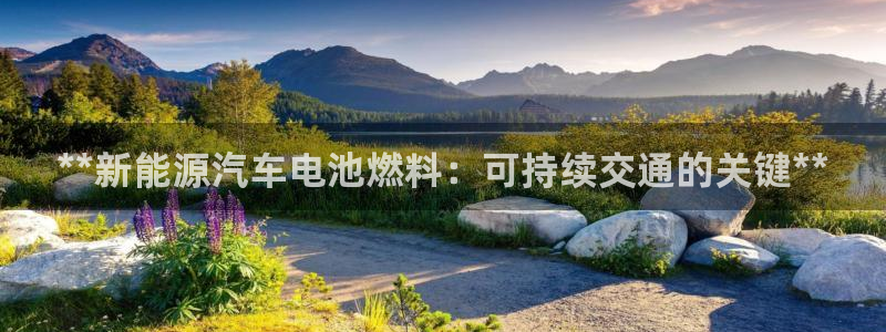 优发国际合并到哪里了