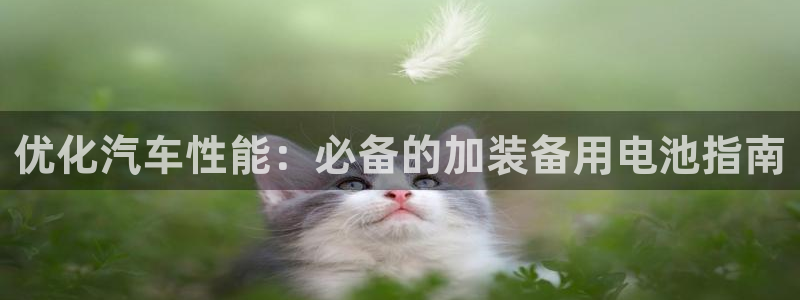 优发国际集团股份有限公司招聘
