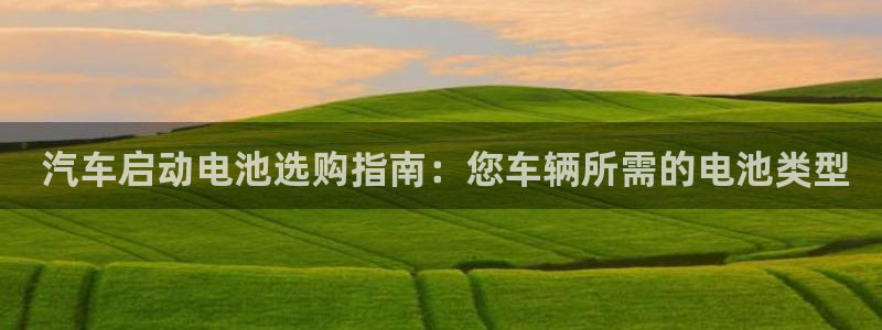 优发国际网站多少