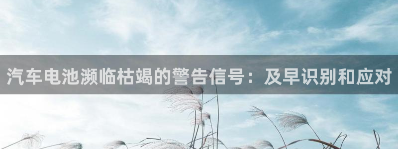 优发国际 干什么的