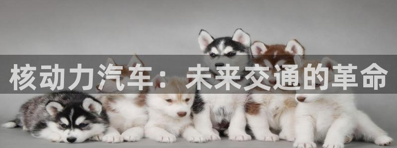 优发娱乐pt官网客户端