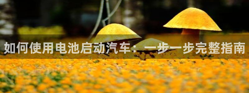 优发娱乐官网地址