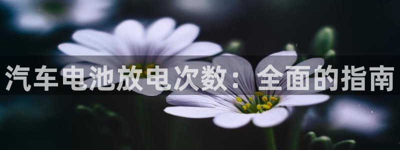 优发国际app官网下载安装