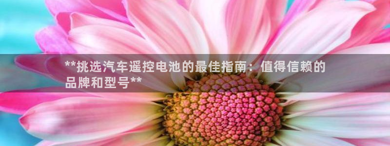 优发国际网站官网