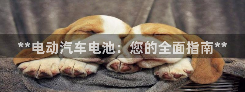优发国际游戏官方网站