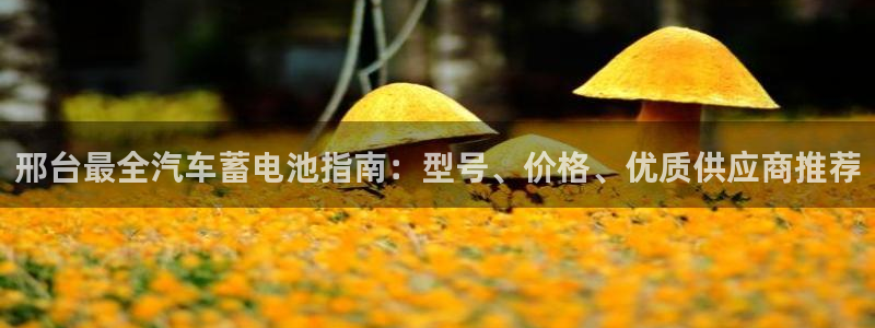 优发国际游戏17：邢台最全汽车蓄电池指南：型号、价格、优质供应商推荐