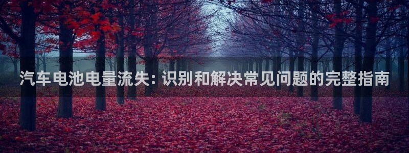 优发国际手机客户端下载安装手机版：汽车电