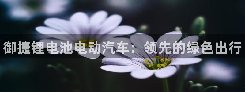 优发国际手机版客户端下载：御捷锂电池电动汽车：领先的绿色出行