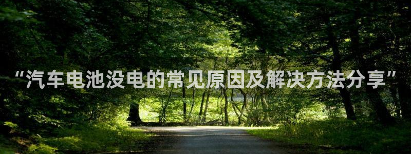 优发国际官网手：“汽车电池没电的常见原因及解决方法分享”
