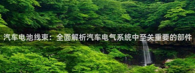优发国际手机版唯一官网：汽车电池线束：全面解析汽车电气系统中至关重要的部件