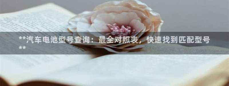 优发国际官网下载：**汽车电池型号查询：最全对照表，快速找到匹配型号
**