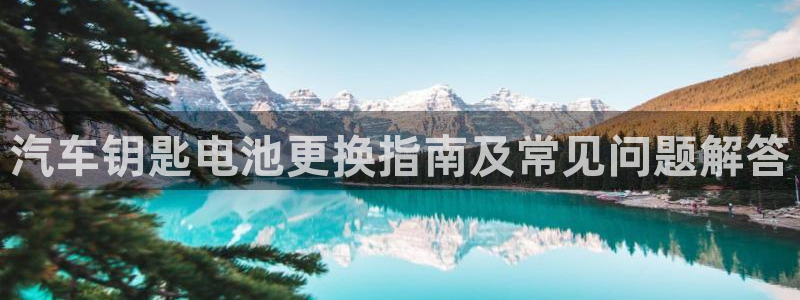 优发国际手机版唯一官网：汽车钥匙电池更换指南及常见问题解答