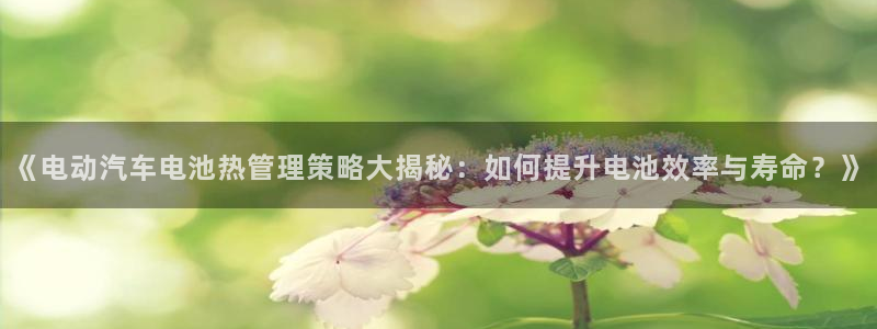 优发国际官网手机版下载：《电动汽车电池热管理策略大揭秘：如何提升电池效率与寿命？》