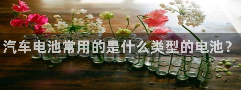 优发国际平台g80：汽车电池常用的是什么类型的电池？