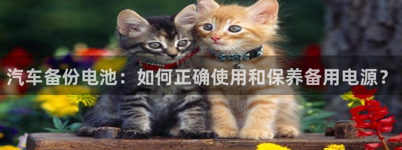 优发国际平台app下载官网：汽车备份电池：如何正确使用和保养备用电源？