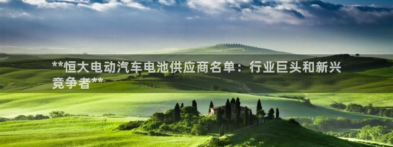 优发国际平台app下载：**恒大电动汽车电池供应商名单：行业巨头和新兴
竞争者**