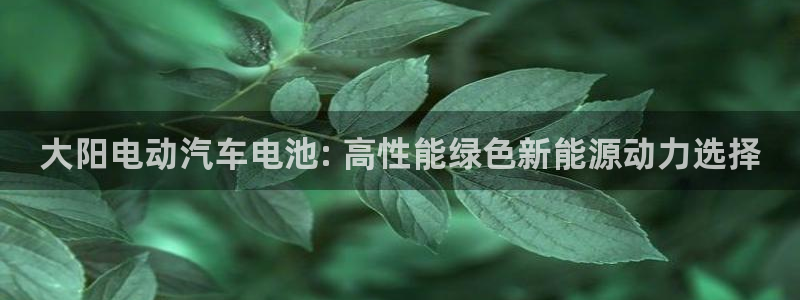 优发国际免费游戏下载：大阳电动汽车电池: 高性能绿色新能源动力选择