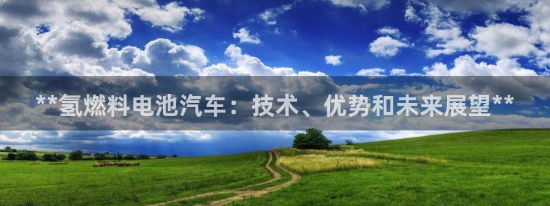 优发国际游戏n：**氢燃料电池汽车：技术、优势和未来展望**