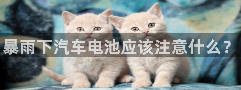优发国际官方网平台：暴雨下汽车电池应该注意什么？