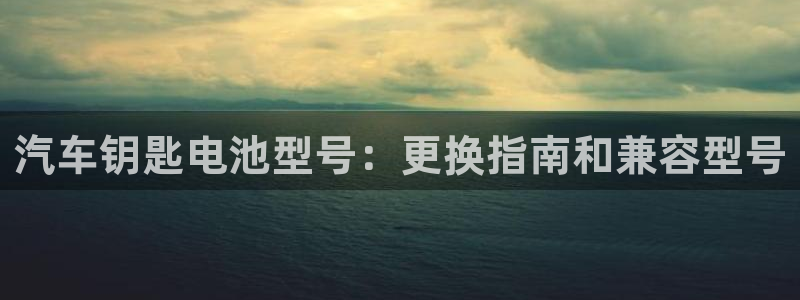 优发国际手机客户端下载安装不了：汽车钥匙电池型号：更换指南和兼容型号