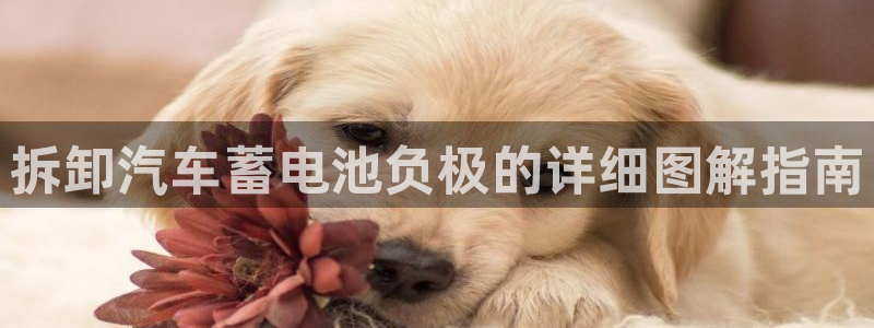 优发国际手机客户端下载官网：拆卸汽车蓄电池负极的详细图解指南
